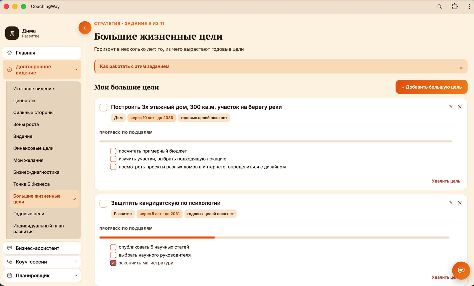 Большие жизненные цели в разделе «Долгосрочное видение»